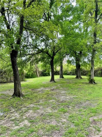 a view of field with trees
