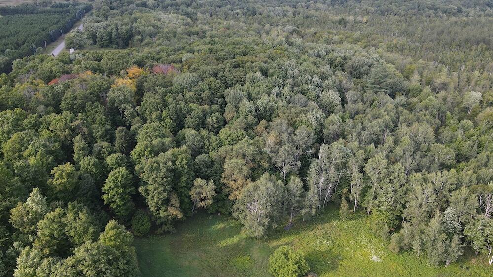 3305 Coville Road Mikado, MI 48745 - Photo 18 of 47 DJI_0991