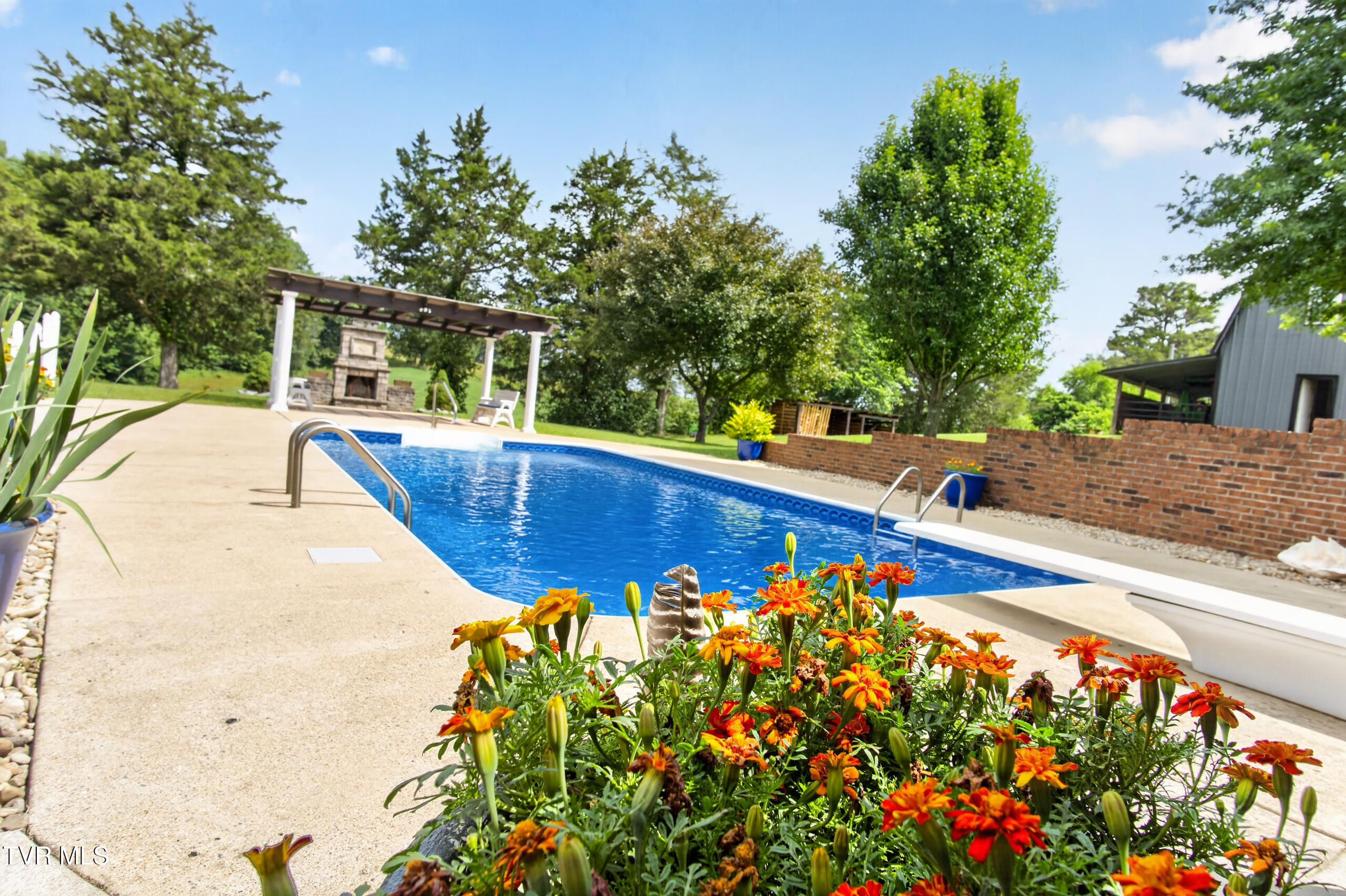 835 John Bird Road Afton, TN 37616 - Photo 109 of 158 DSC06728