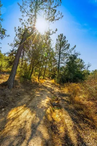 a view of lake with green space