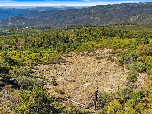 a view of a lush green forest with mountains in the background