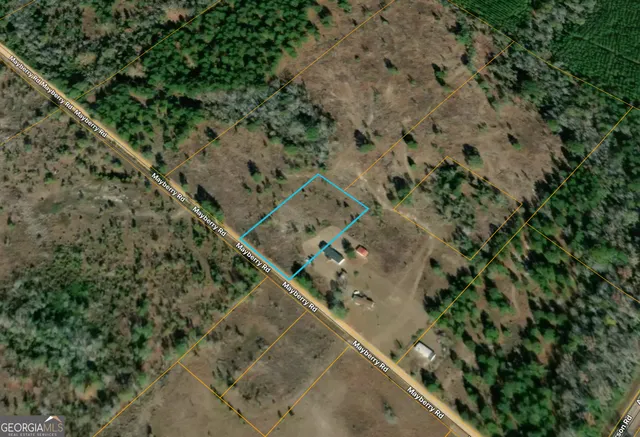 a view of a forest with a forest