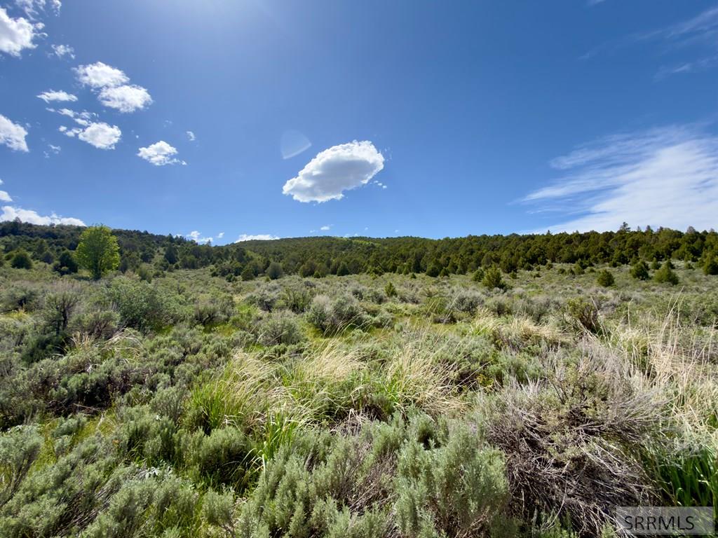 Tbd Fish Creek Road Lava Hot Springs, ID 83246 - Photo 31 of 44