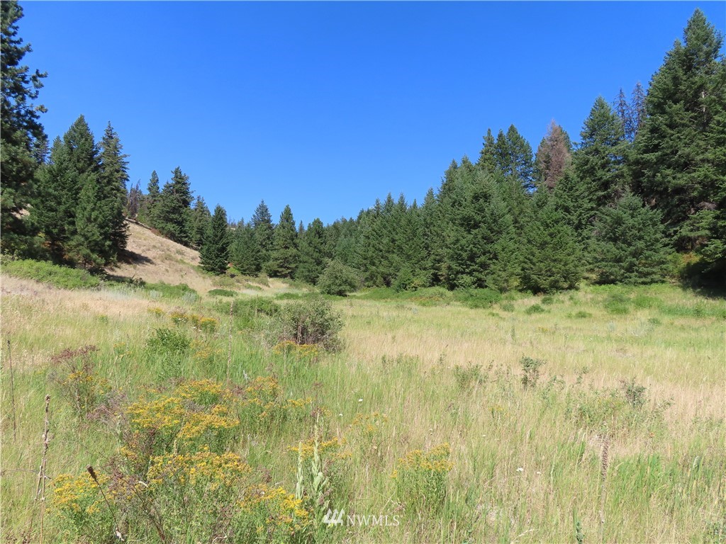 -tbd East Knob Hill Road Republic, WA 99166 - Photo 1 of 17 Gallery Image 1
