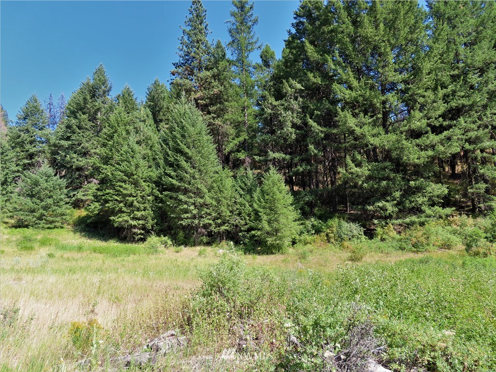 -tbd East Knob Hill Road Republic, WA 99166 - Photo 2 of 17 Gallery Image 2