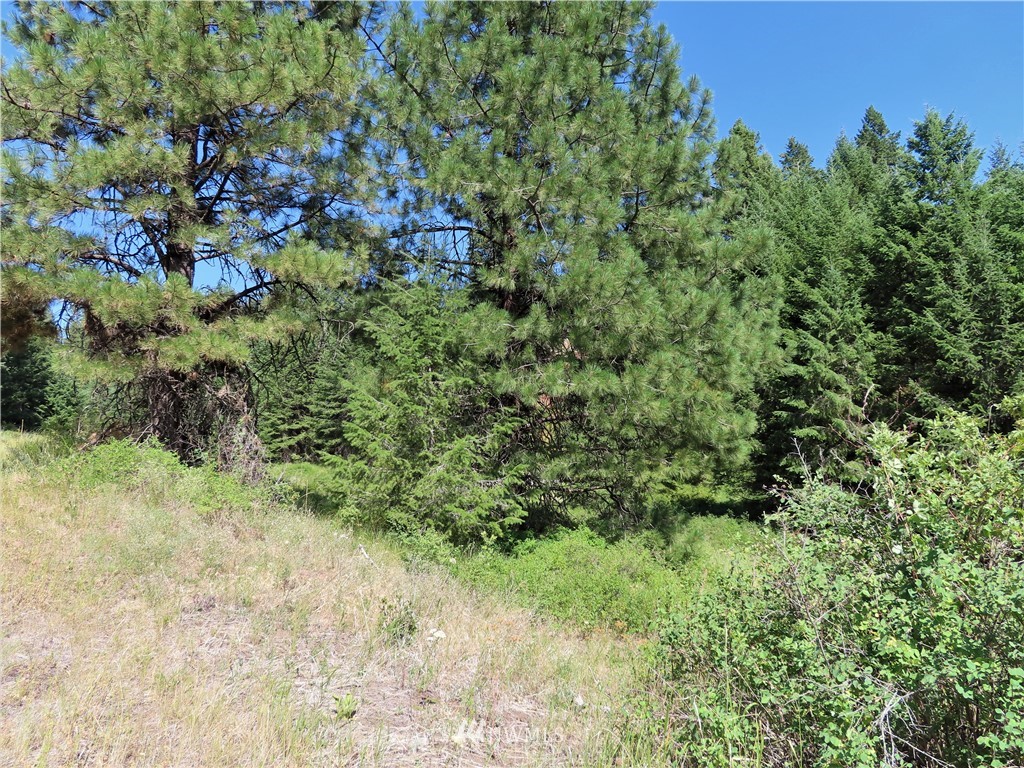 -tbd East Knob Hill Road Republic, WA 99166 - Photo 11 of 17 Gallery Image 11