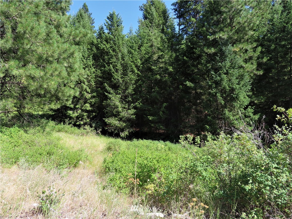 -tbd East Knob Hill Road Republic, WA 99166 - Photo 12 of 17 Gallery Image 12