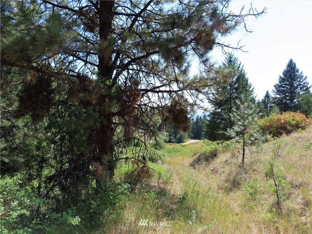 -tbd East Knob Hill Road Republic, WA 99166 - Photo 13 of 17 Gallery Image 13