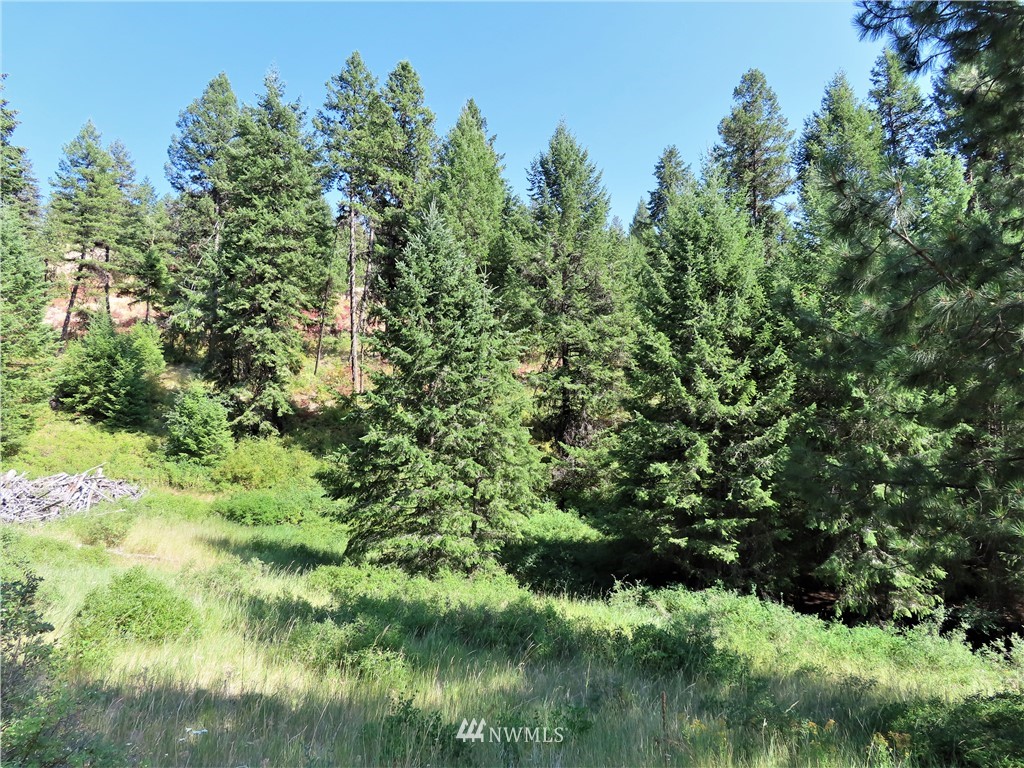 -tbd East Knob Hill Road Republic, WA 99166 - Photo 14 of 17 Gallery Image 14