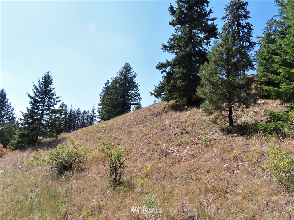 -tbd East Knob Hill Road Republic, WA 99166 - Photo 15 of 17 Gallery Image 15