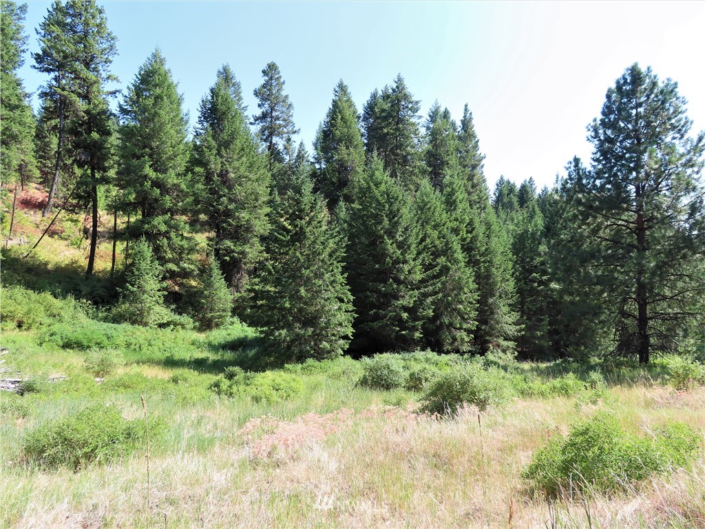 -tbd East Knob Hill Road Republic, WA 99166 - Photo 16 of 17 Gallery Image 16