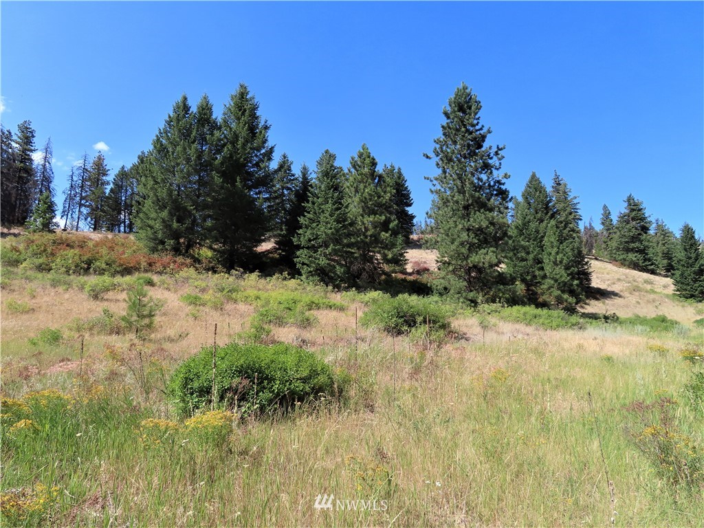 -tbd East Knob Hill Road Republic, WA 99166 - Photo 3 of 17 Gallery Image 3