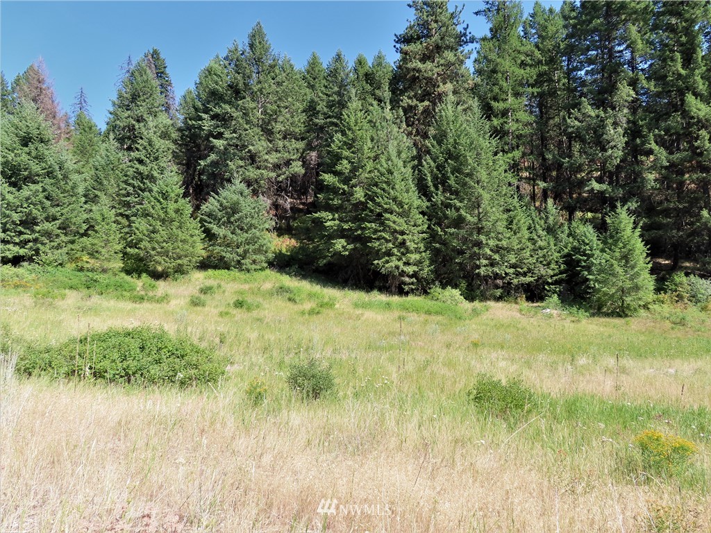 -tbd East Knob Hill Road Republic, WA 99166 - Photo 4 of 17 Gallery Image 4