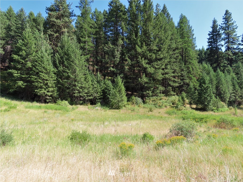 -tbd East Knob Hill Road Republic, WA 99166 - Photo 5 of 17 Gallery Image 5