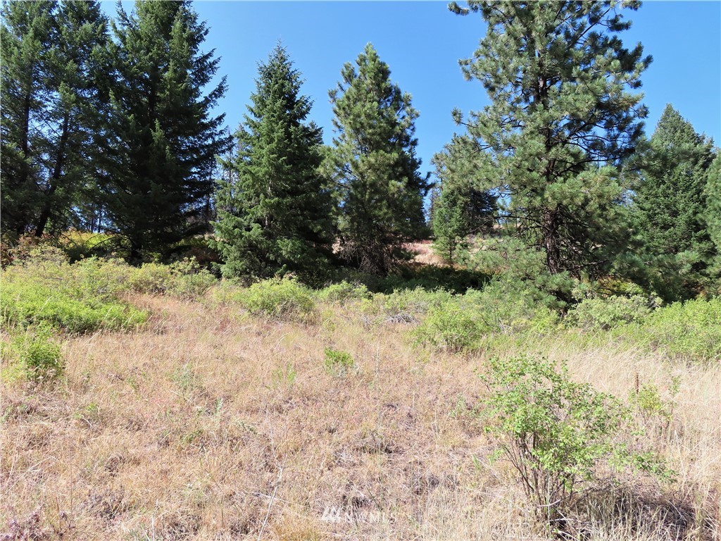 -tbd East Knob Hill Road Republic, WA 99166 - Photo 6 of 17 Gallery Image 6