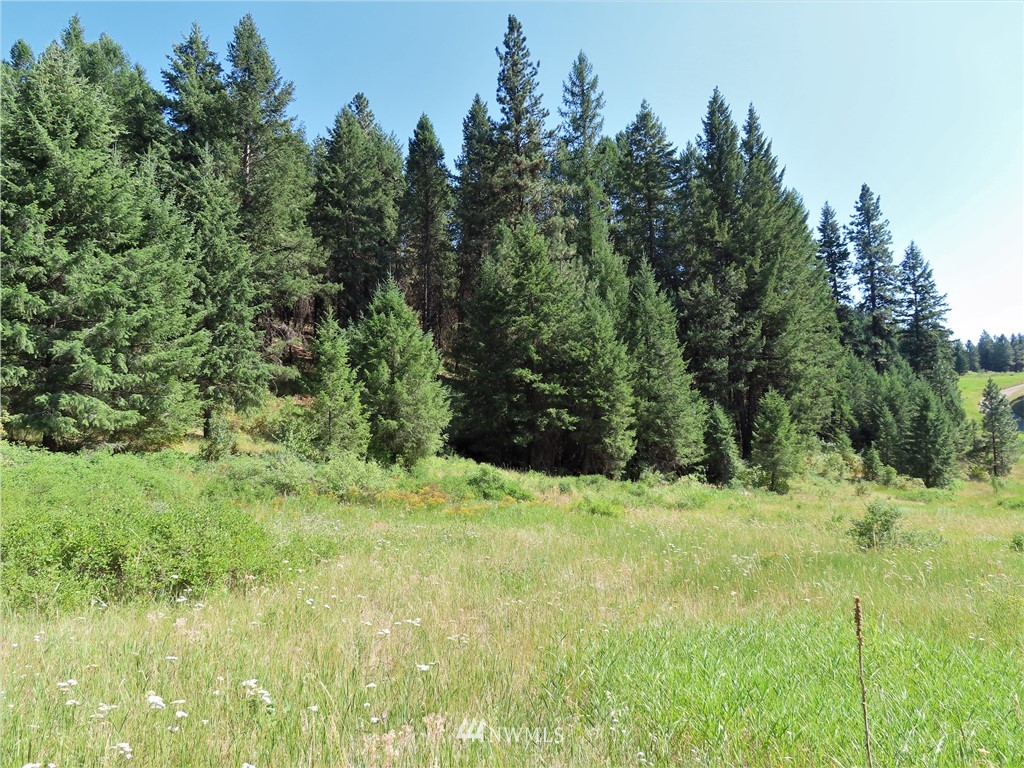 -tbd East Knob Hill Road Republic, WA 99166 - Photo 8 of 17 Gallery Image 8