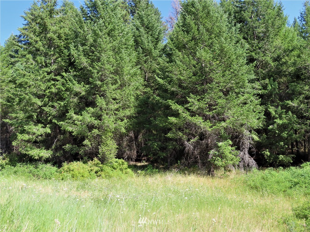 -tbd East Knob Hill Road Republic, WA 99166 - Photo 9 of 17 Gallery Image 9