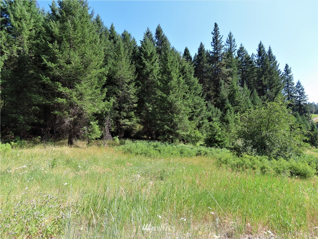 -tbd East Knob Hill Road Republic, WA 99166 - Photo 10 of 17 Gallery Image 10