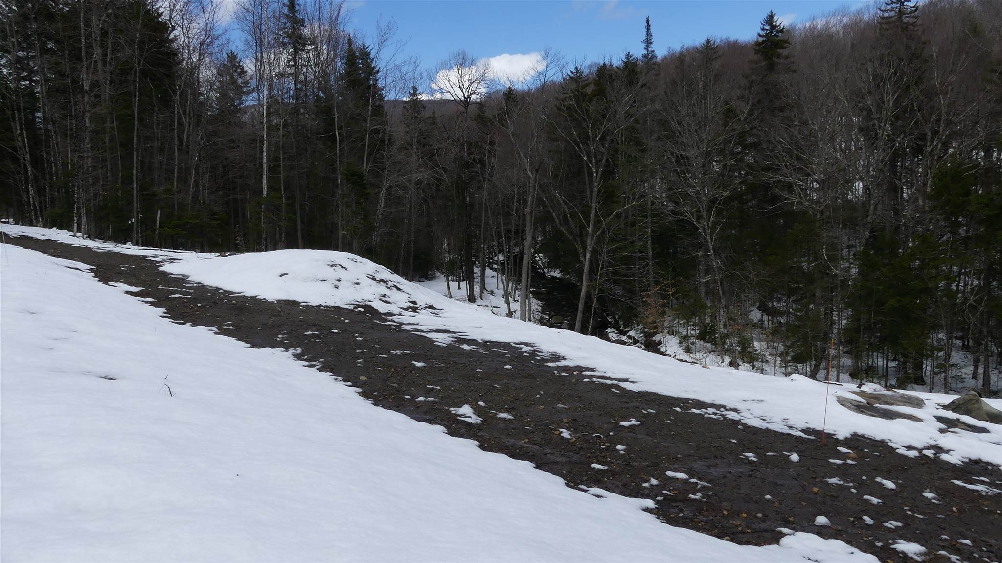 66 Cheney Brook Loop Randolph, VT 05060 - Photo 3 of 11