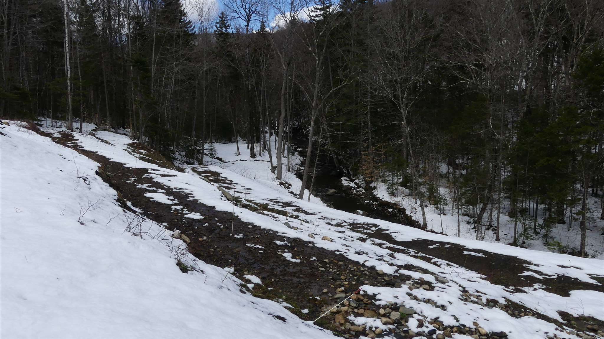 66 Cheney Brook Loop Randolph, VT 05060 - Photo 4 of 11