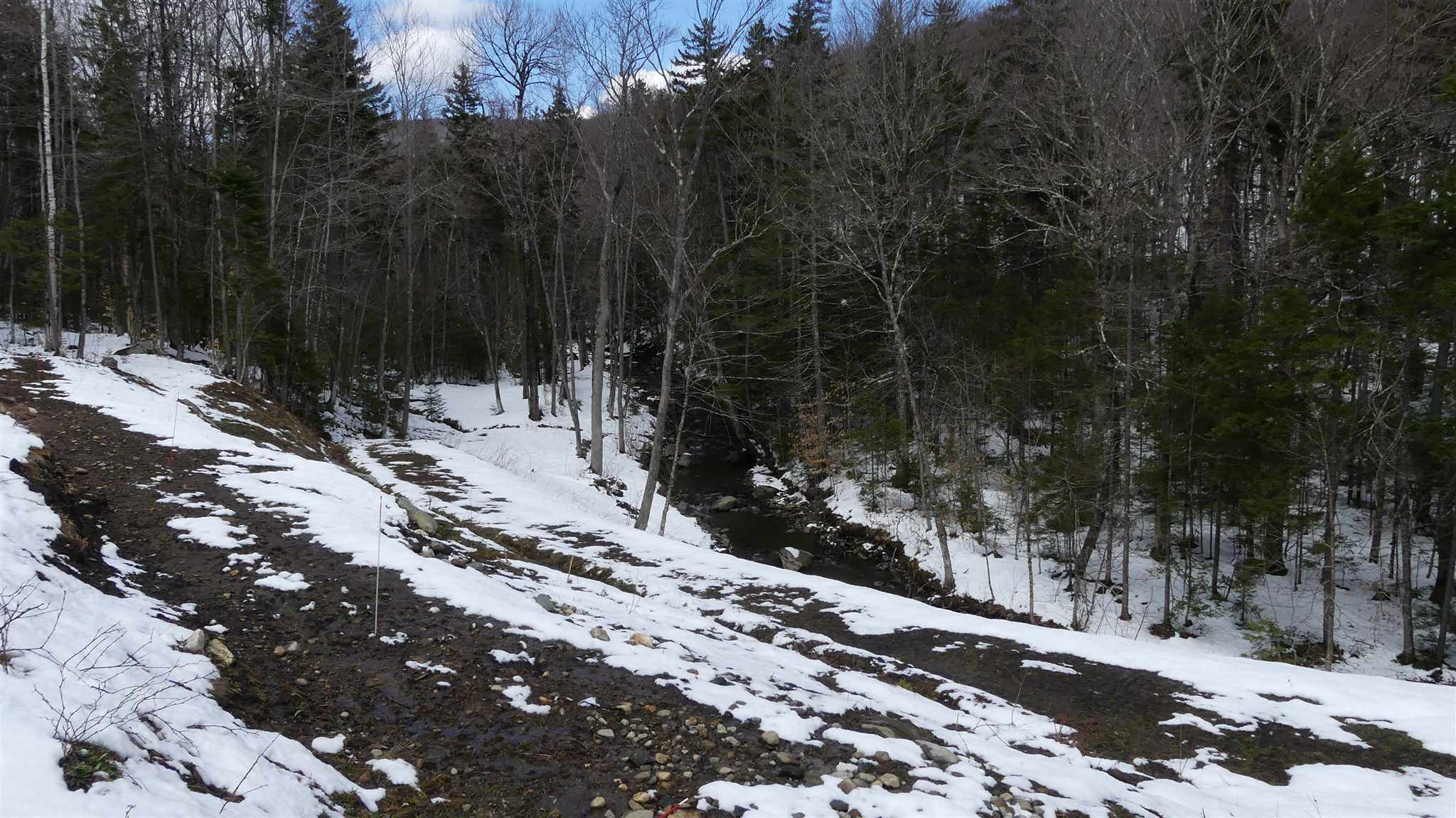 66 Cheney Brook Loop Randolph, VT 05060 - Photo 5 of 11