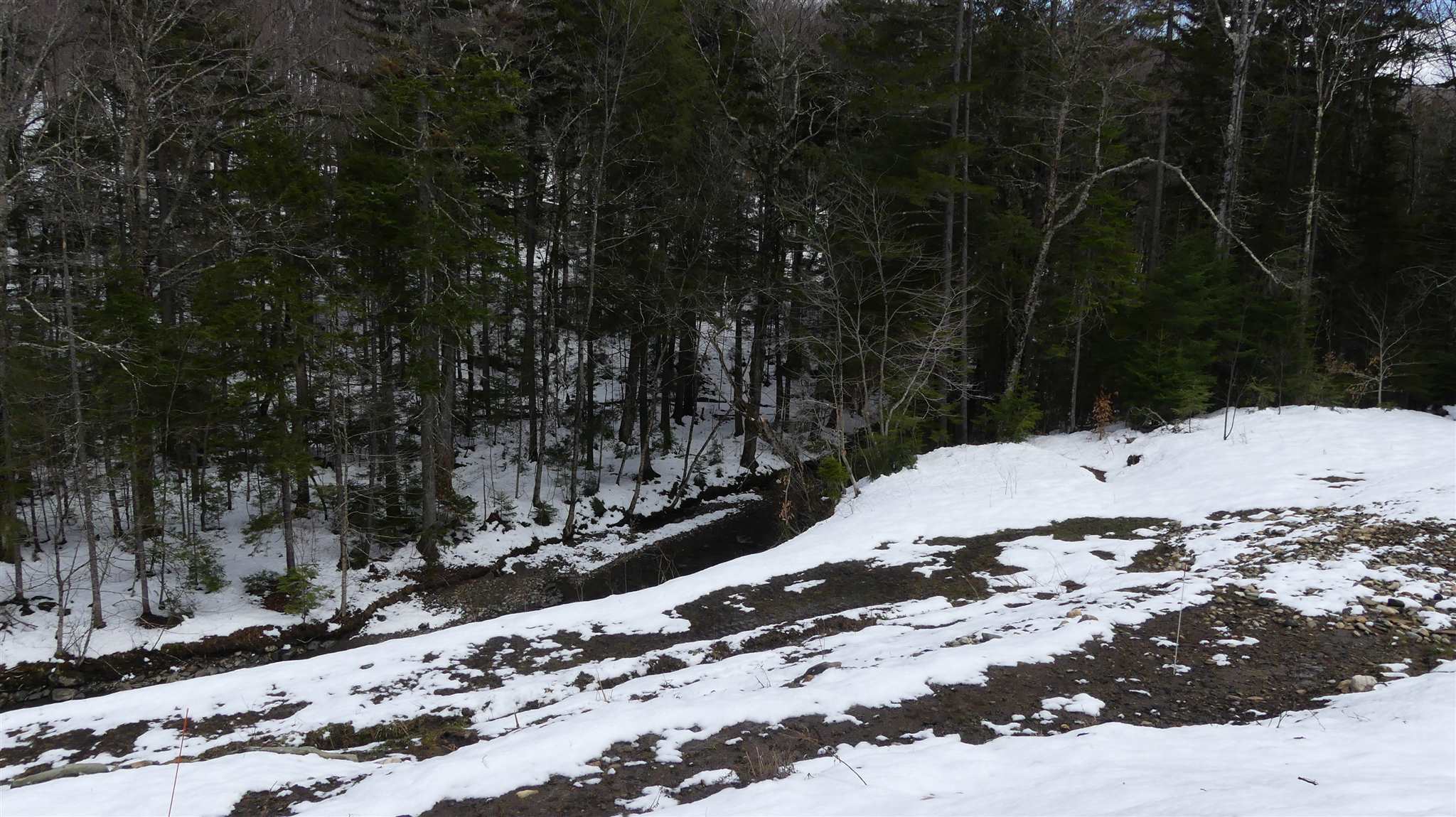 66 Cheney Brook Loop Randolph, VT 05060 - Photo 7 of 11