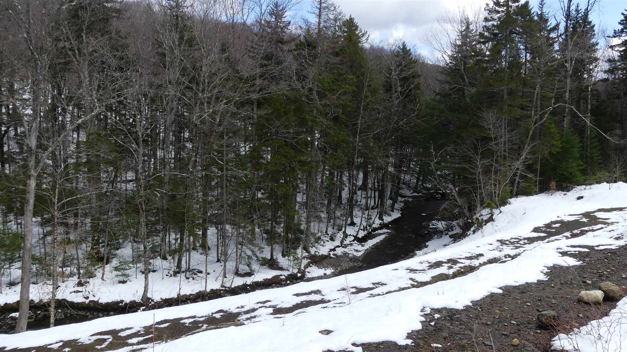 66 Cheney Brook Loop Randolph, VT 05060 - Photo 8 of 11