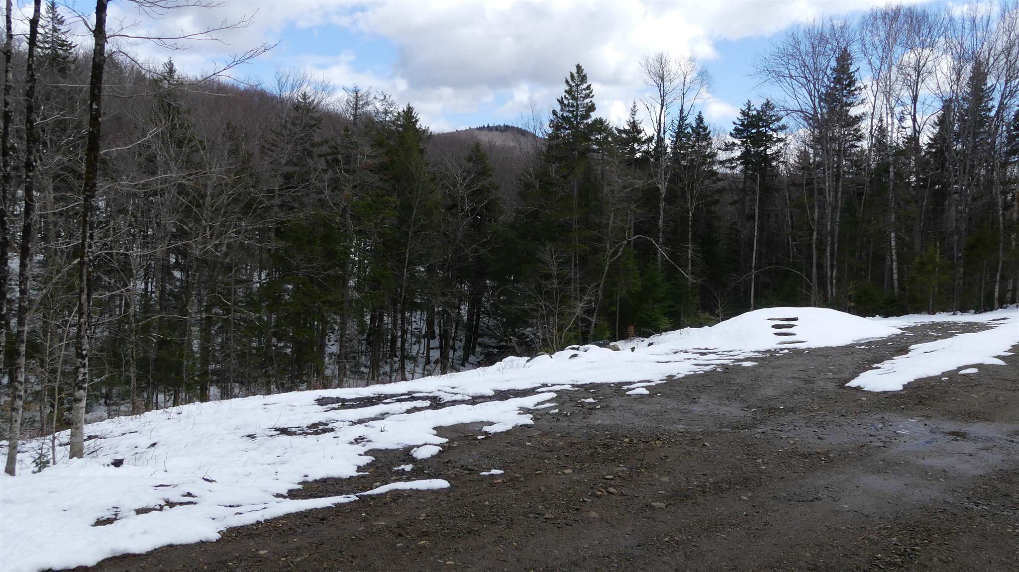 66 Cheney Brook Loop Randolph, VT 05060 - Photo 10 of 11