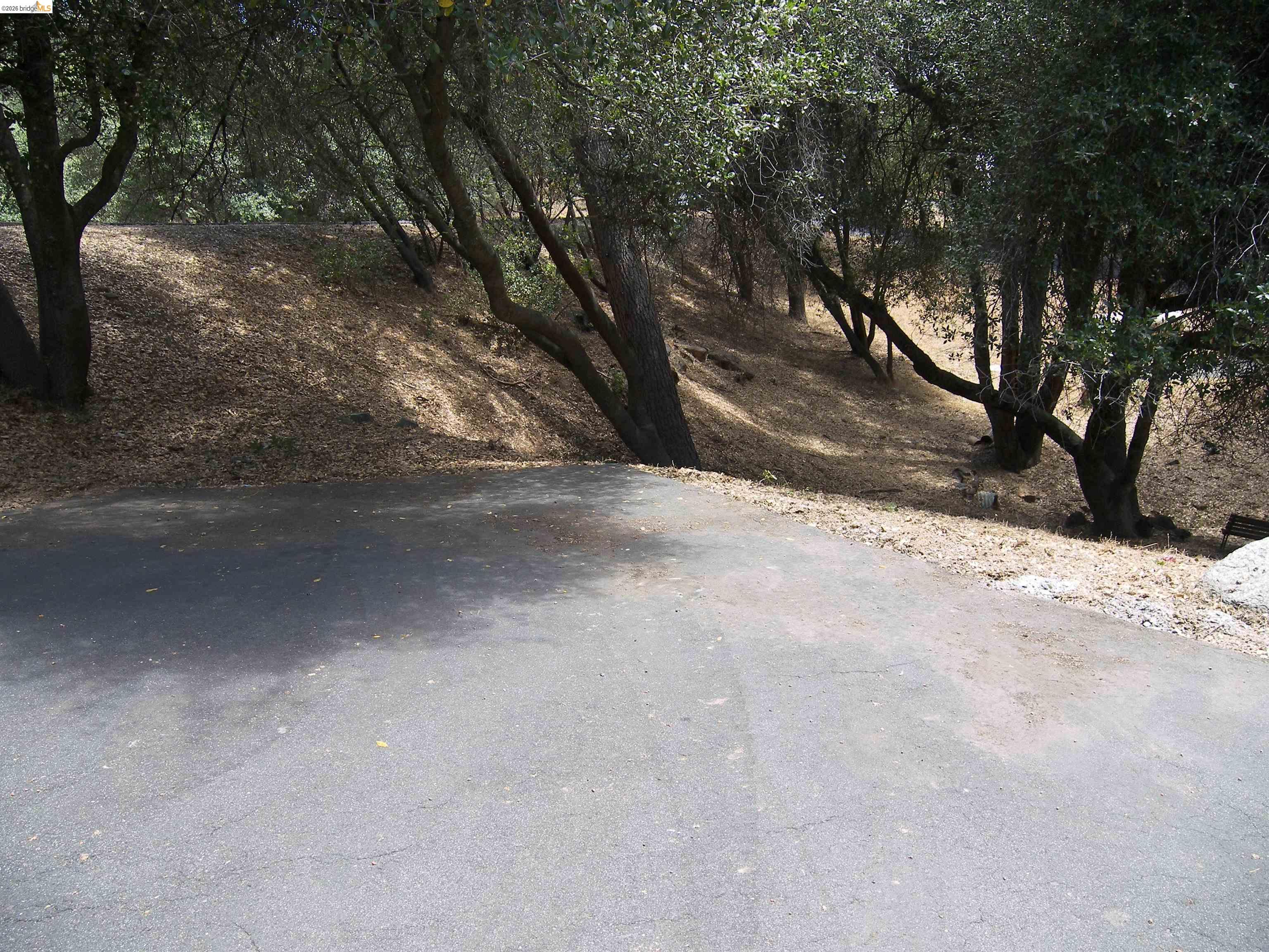 19215 Ferretti Road Groveland, CA 95321 - Photo 40 of 40 Paved surface bordered by a natural, sloping hillside with mature trees and ground cover