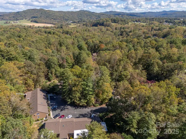 a view of a lot of trees and houses