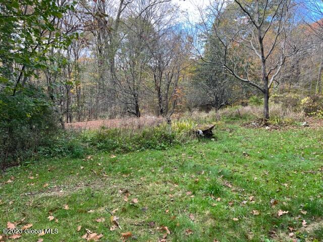 103 Federal City Road Broome, NY 12469 - Photo 15 of 20 IMG_2328