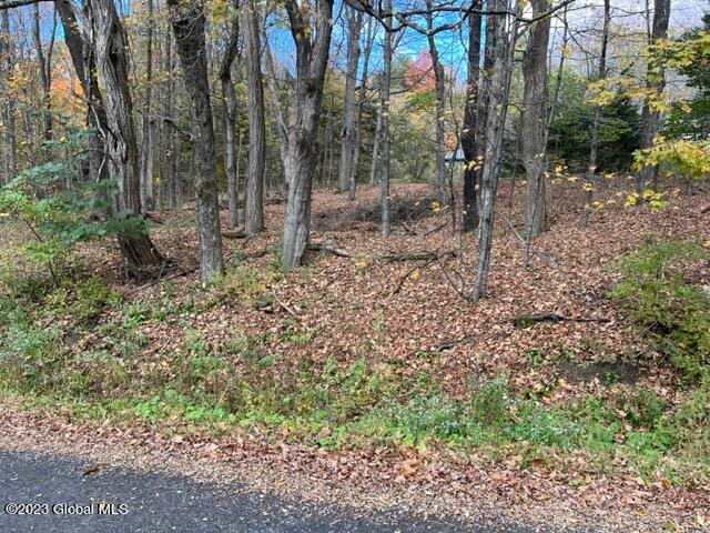 103 Federal City Road Broome, NY 12469 - Photo 18 of 20 IMG_2331
