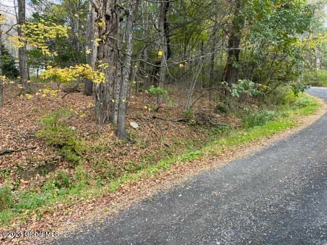 103 Federal City Road Broome, NY 12469 - Photo 19 of 20 IMG_2332