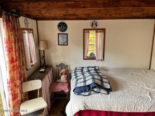 103 Federal City Road Broome, NY 12469 - Photo 6 of 20 IMG_2322