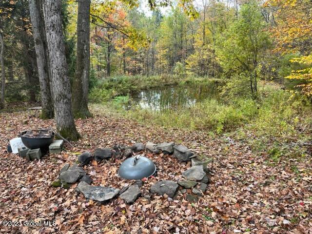 103 Federal City Road Broome, NY 12469 - Photo 10 of 20 IMG_2315