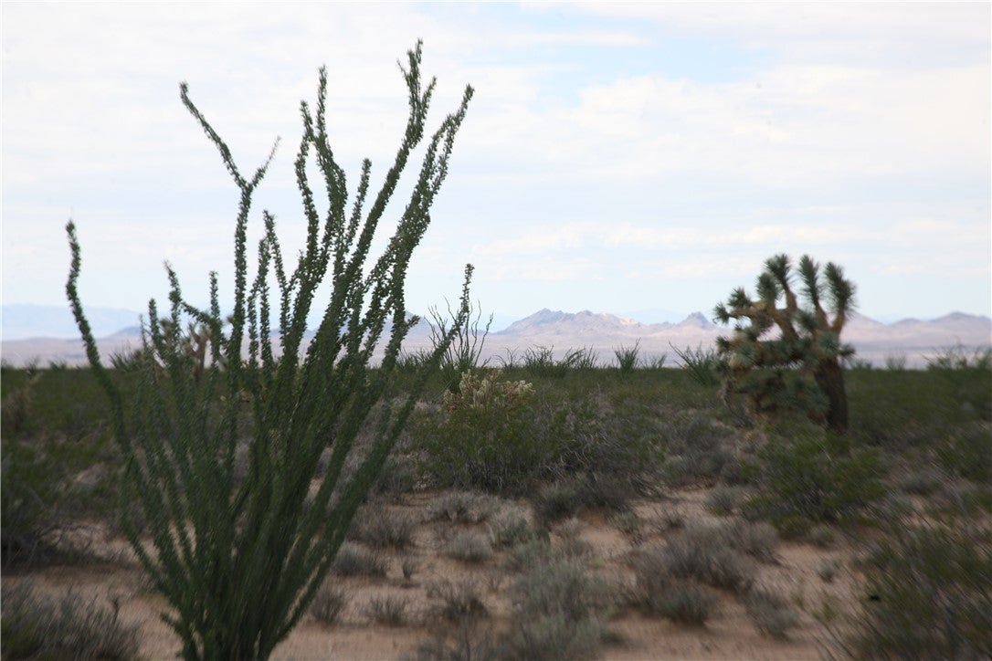 243-15-016 South Custer Road, Unit 3491 Yucca, AZ 86438 - Photo 45 of 61 Gallery Image 45