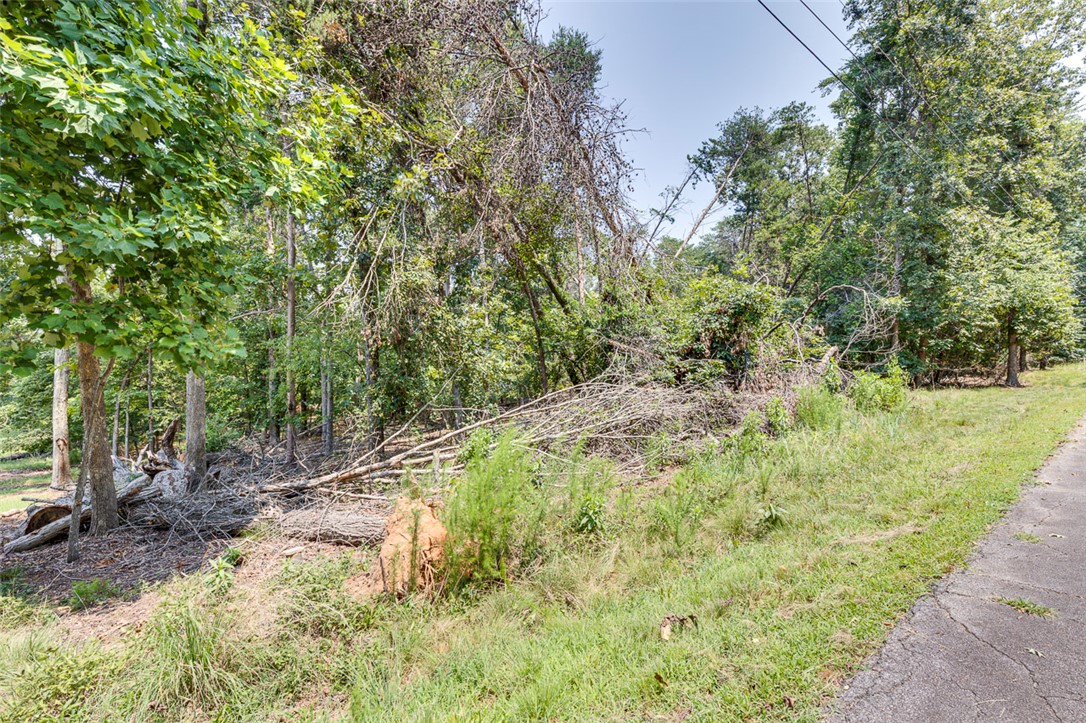 0 Tarleton Road Anderson, SC 29626 - Photo 6 of 19 Gallery Image 6