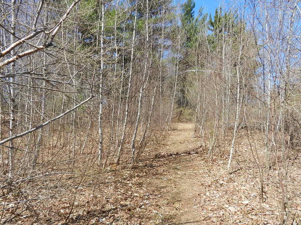 5 Morrison Road Alexandria, NH 03222 - Photo 5 of 12