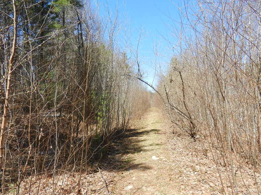 5 Morrison Road Alexandria, NH 03222 - Photo 6 of 12