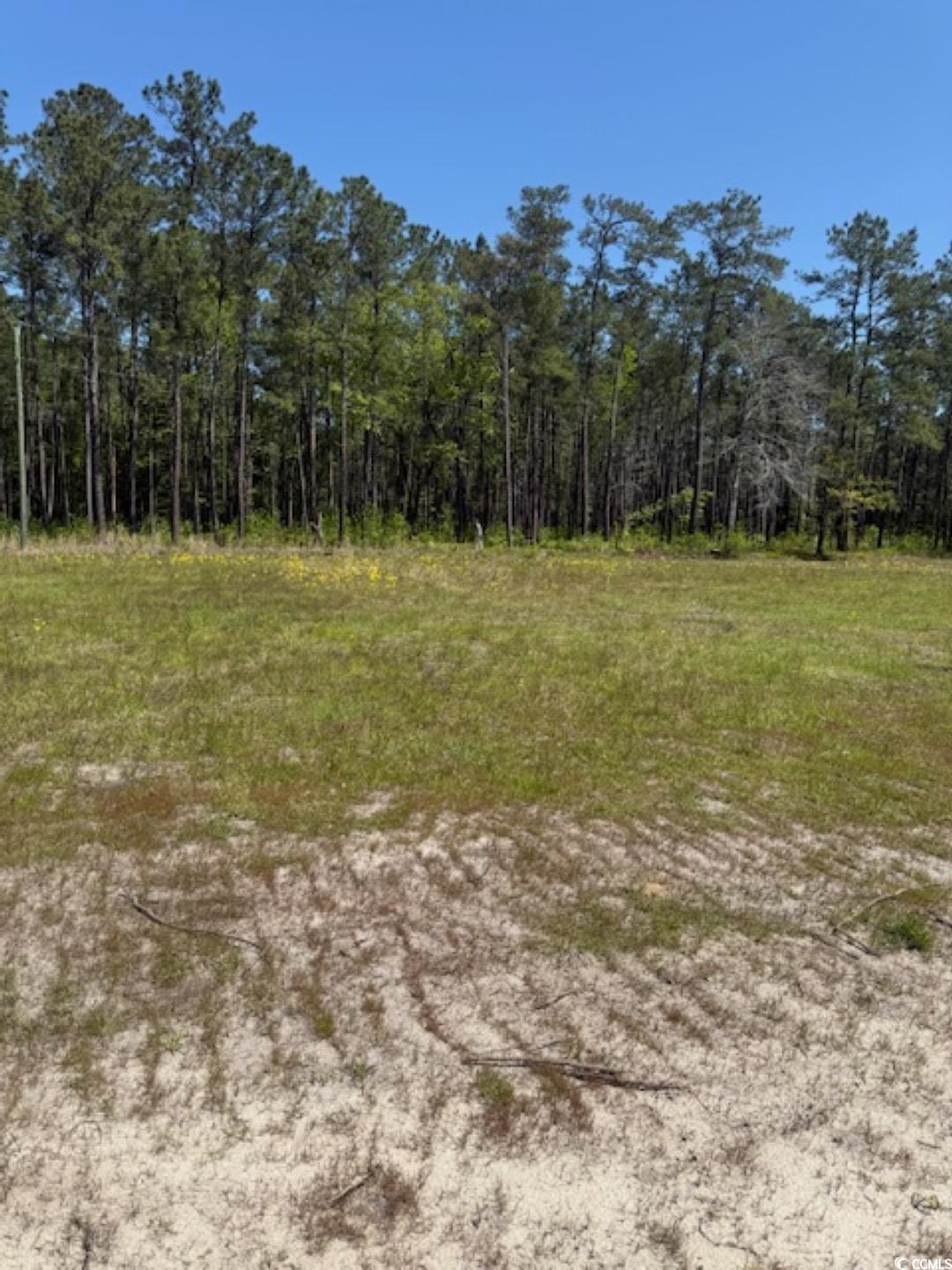 Tbd Johnson Road Georgetown, SC 29440 - Photo 2 of 7