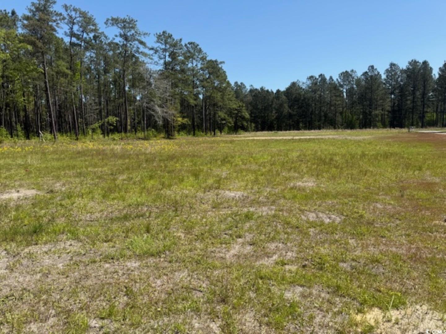 Tbd Johnson Road Georgetown, SC 29440 - Photo 3 of 7