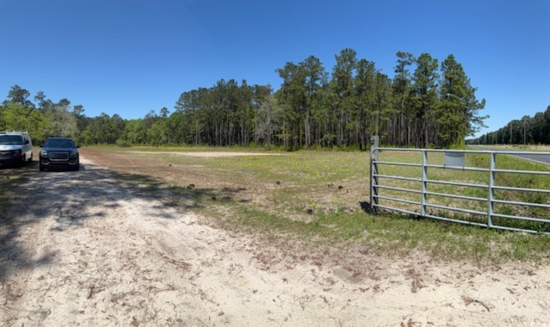 Tbd Johnson Road Georgetown, SC 29440 - Photo 4 of 7
