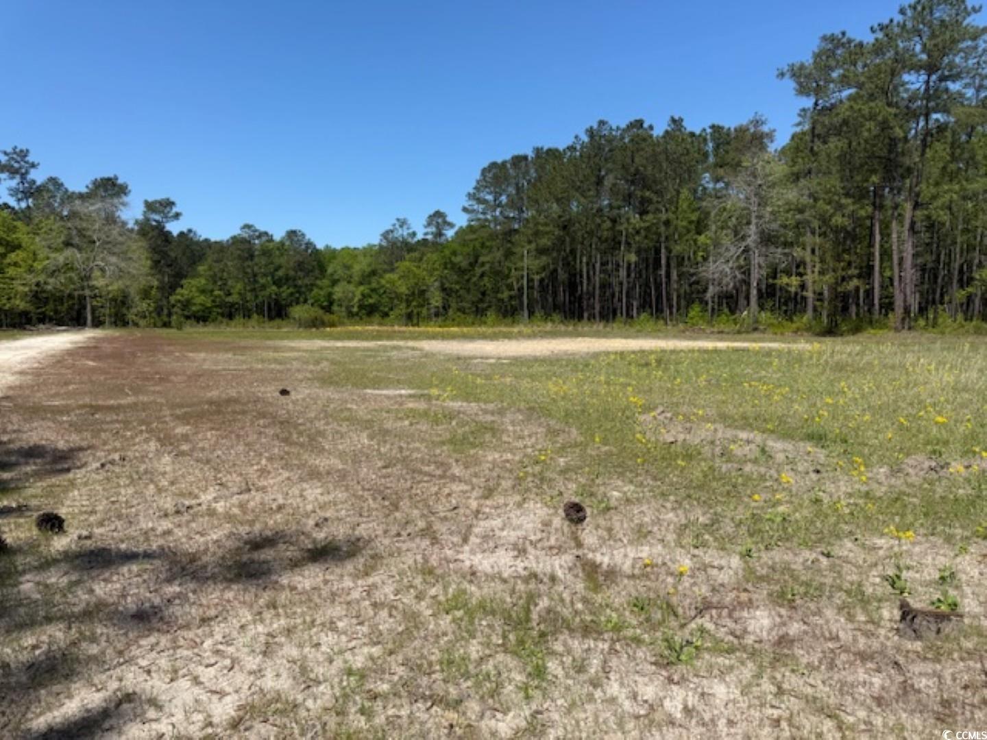 Tbd Johnson Road Georgetown, SC 29440 - Photo 5 of 7