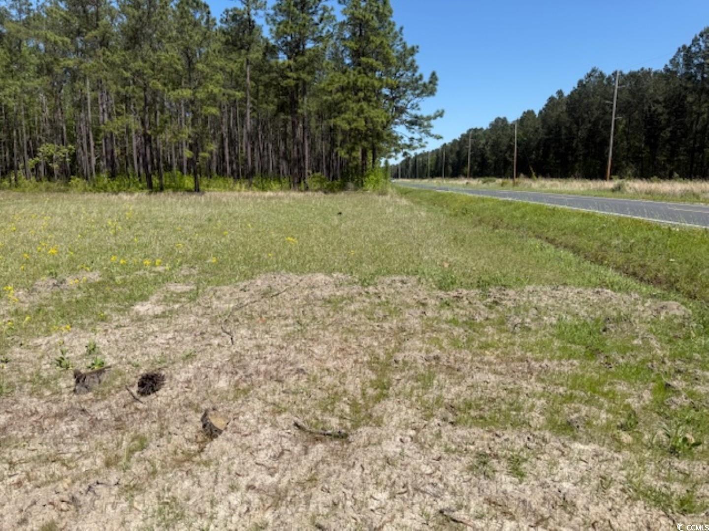 Tbd Johnson Road Georgetown, SC 29440 - Photo 6 of 7