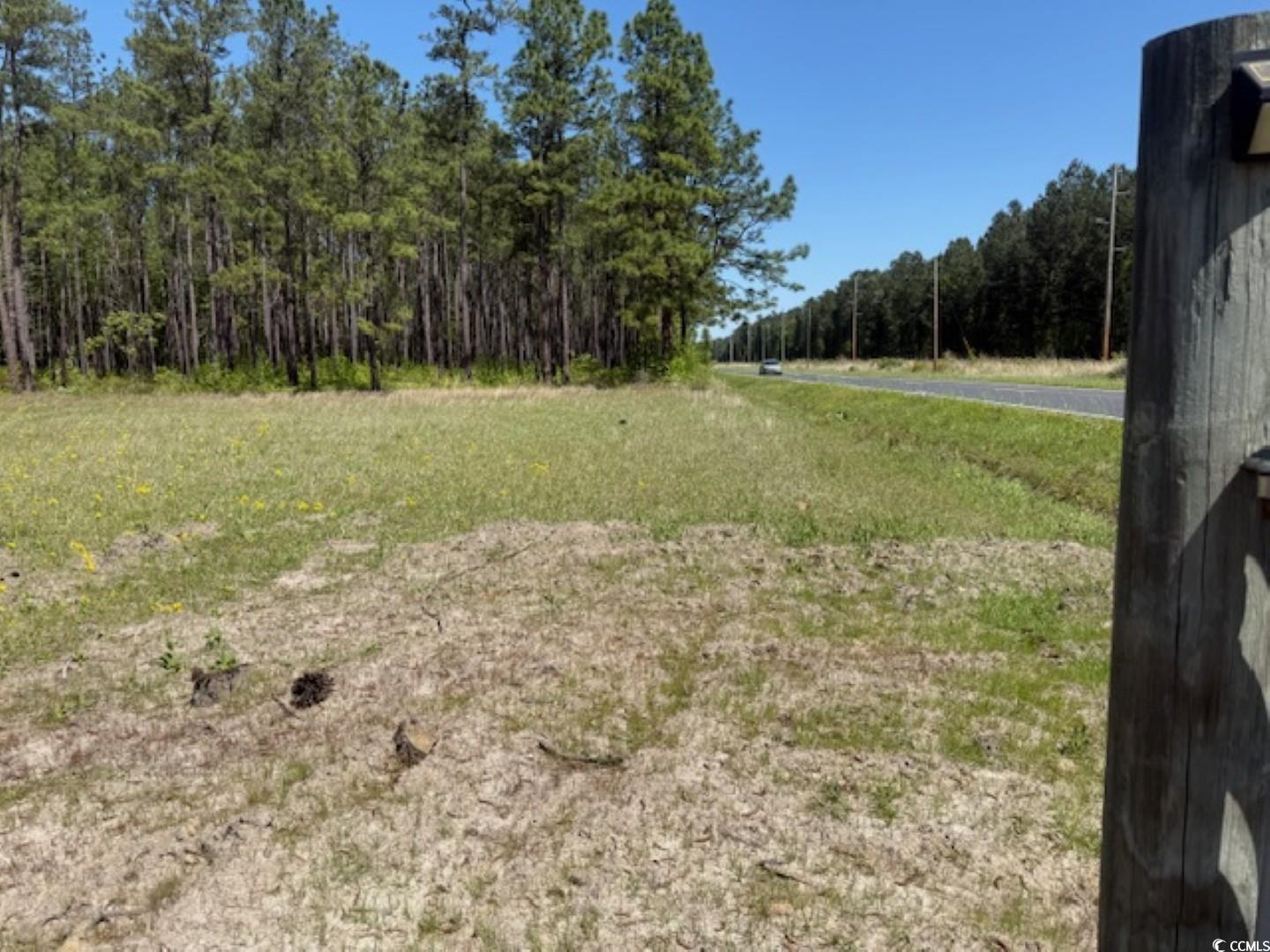 Tbd Johnson Road Georgetown, SC 29440 - Photo 7 of 7