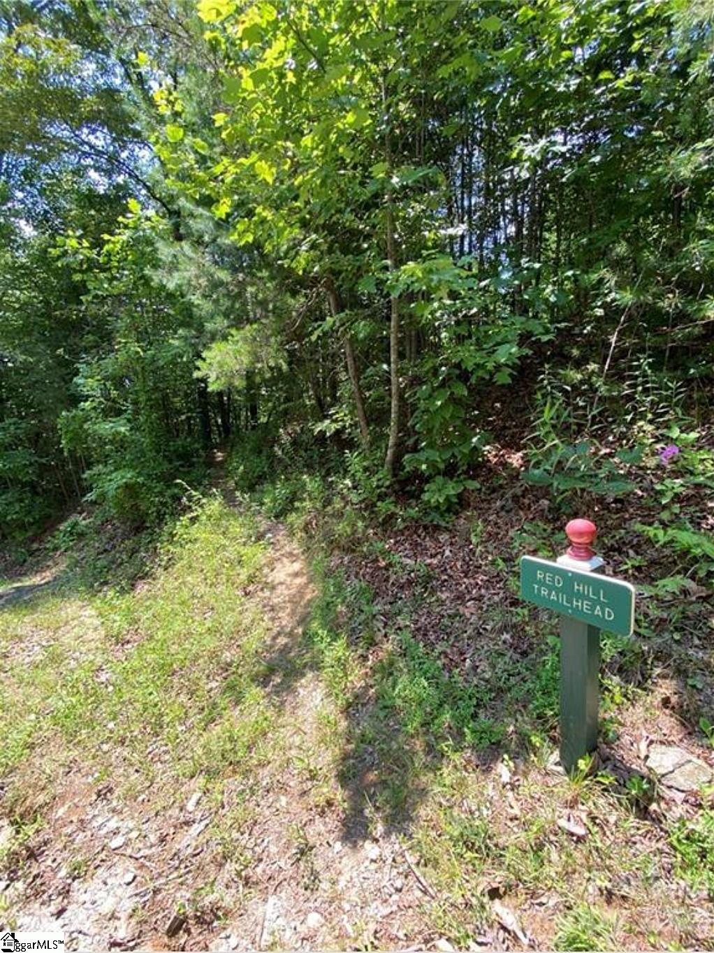 68 Stepp Ridge Court Hendersonville, NC 28792 - Photo 3 of 11