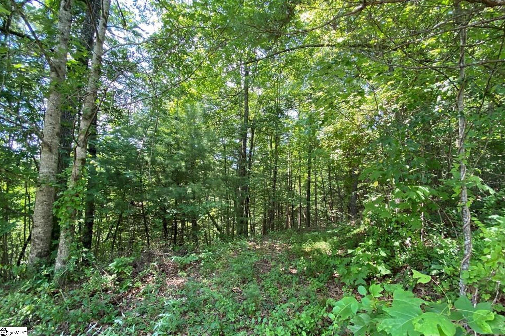 68 Stepp Ridge Court Hendersonville, NC 28792 - Photo 4 of 11