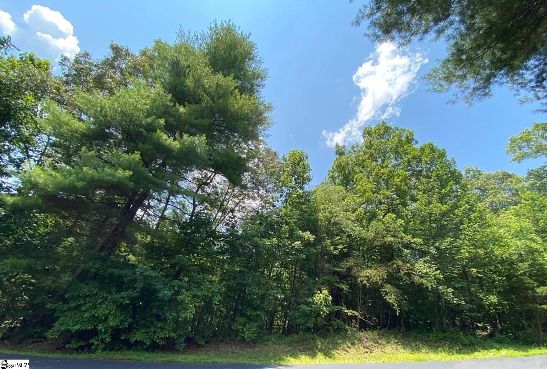 68 Stepp Ridge Court Hendersonville, NC 28792 - Photo 5 of 11