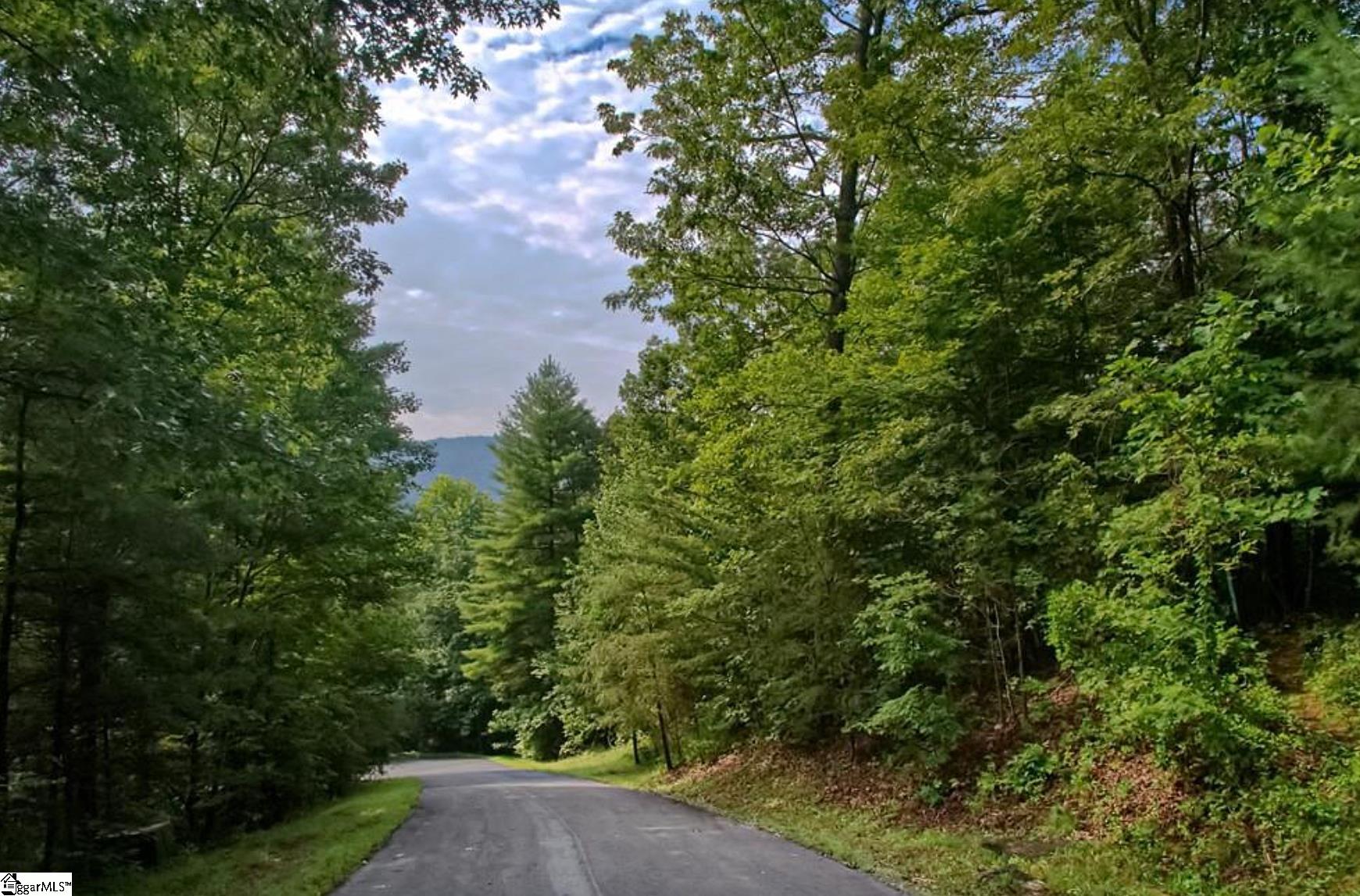 68 Stepp Ridge Court Hendersonville, NC 28792 - Photo 6 of 11