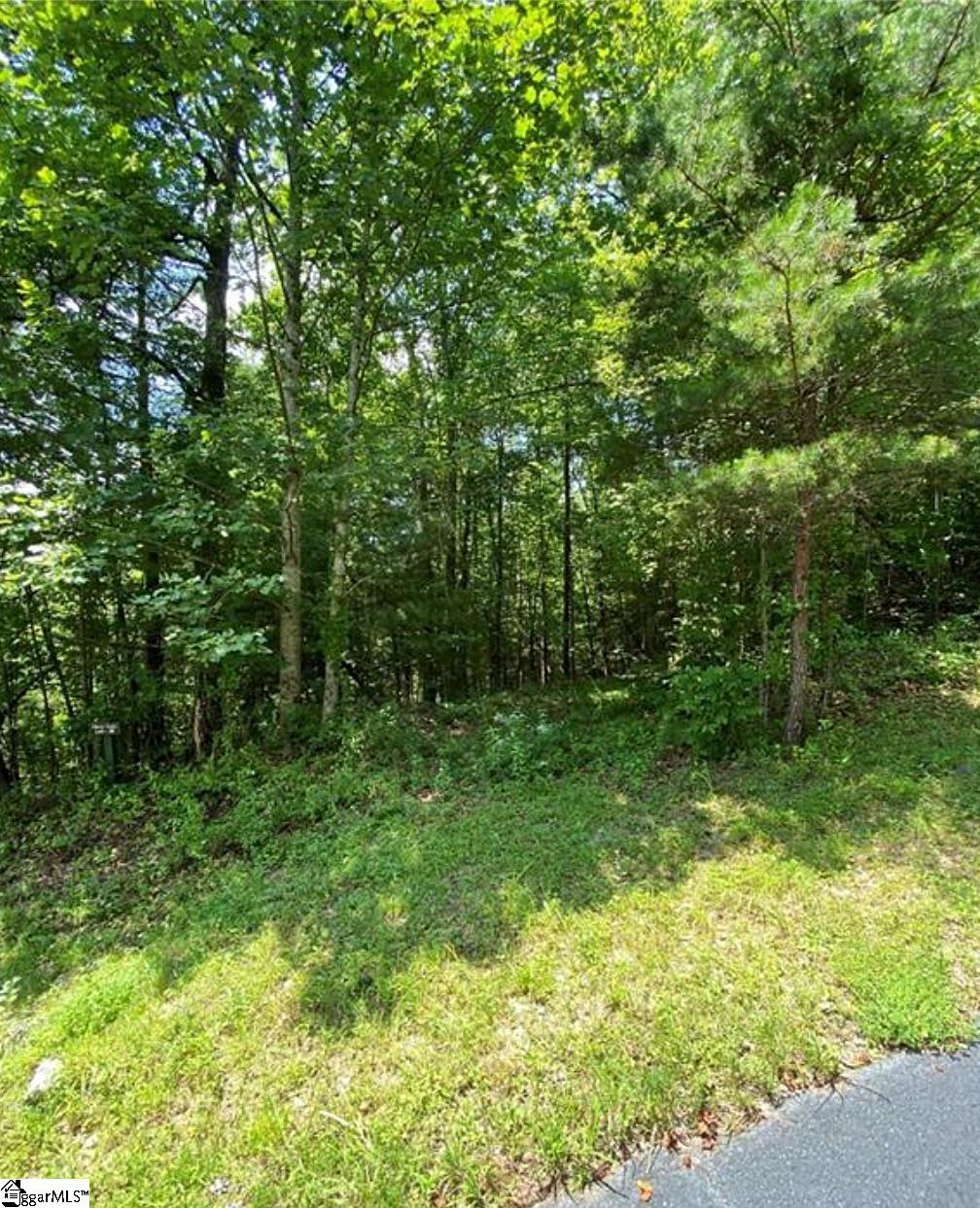 68 Stepp Ridge Court Hendersonville, NC 28792 - Photo 7 of 11